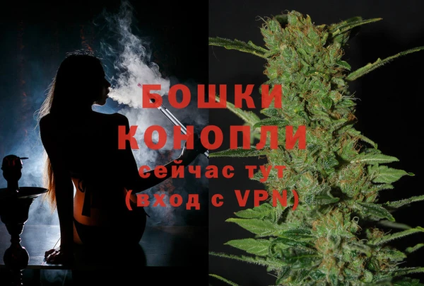 прущие крисы Бабаево