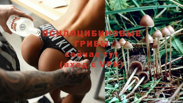 соль ск Анива