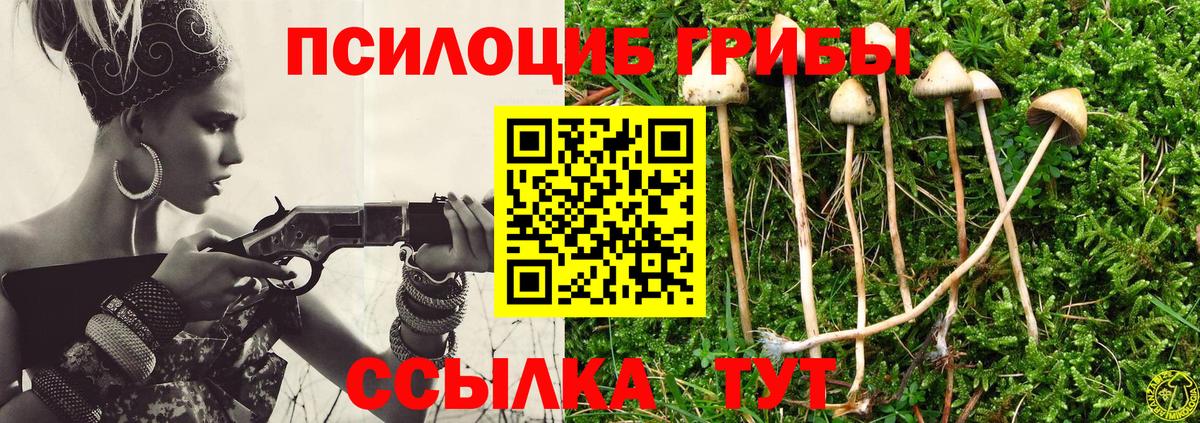 Борзя  Галлюциногенные грибы мухоморы  Вход с VPN 