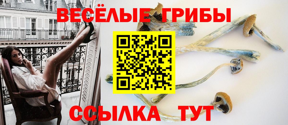 Галлюциногенные грибы Cubensis  Псилоцибиновые грибы прущие грибы  Борзя 