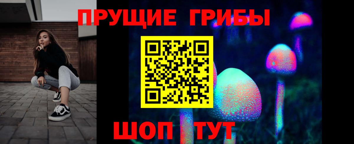 Псилоцибиновые грибы мухоморы Борзя