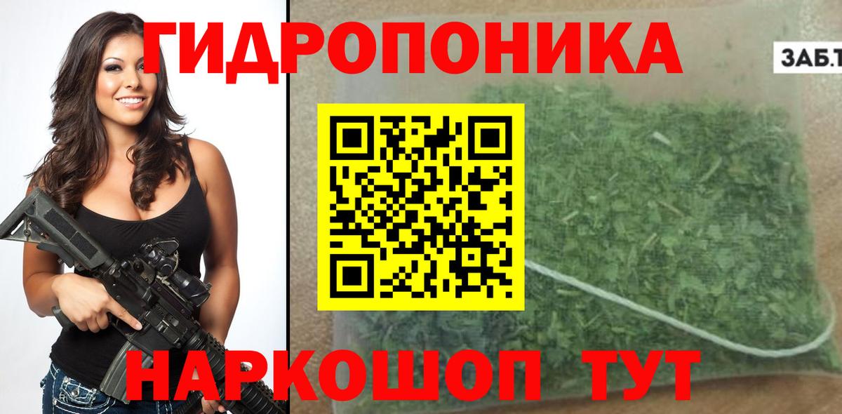 Бошки Шишки конопля Борзя